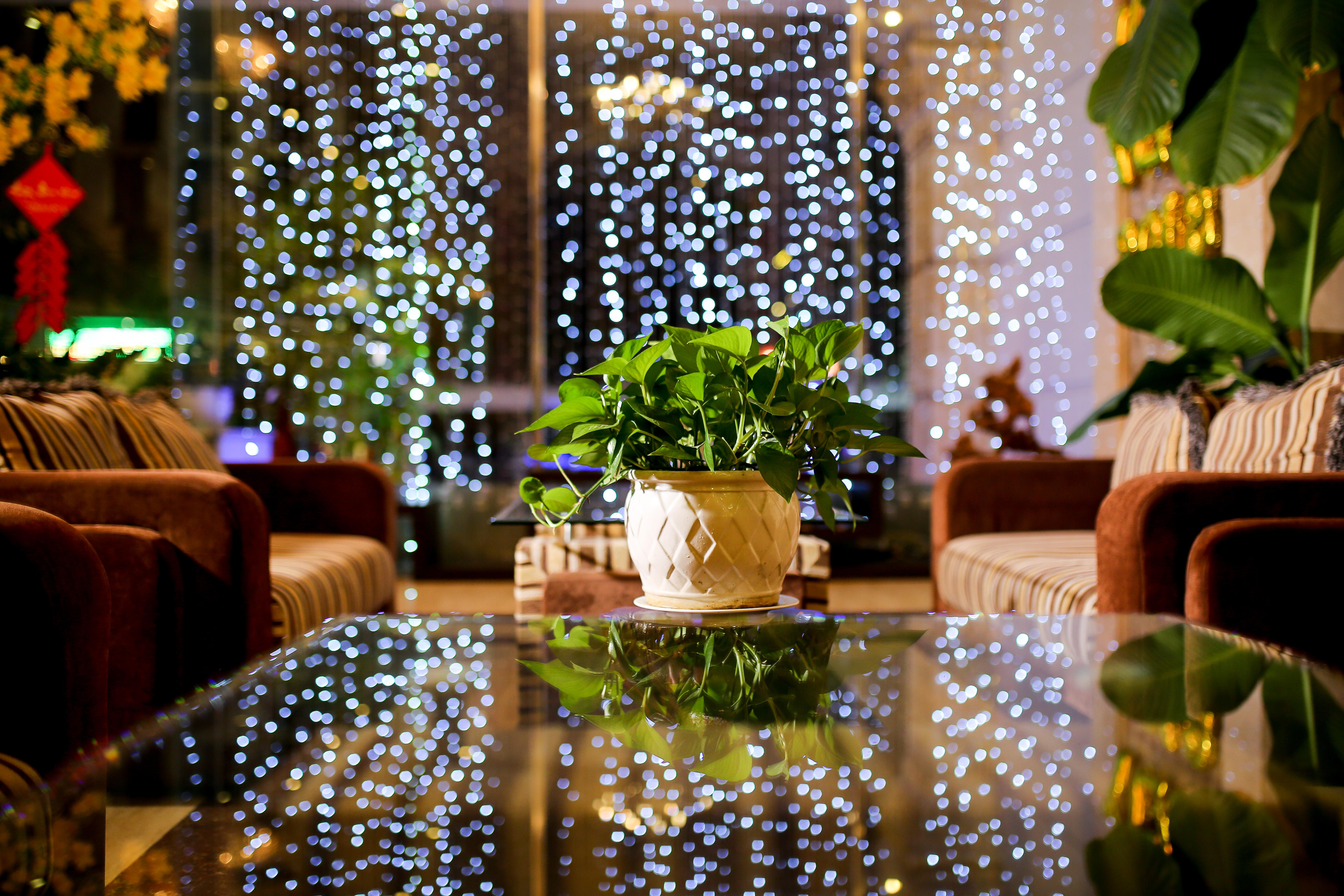 Hoang Sa Hotel Da Nang Bagian luar foto